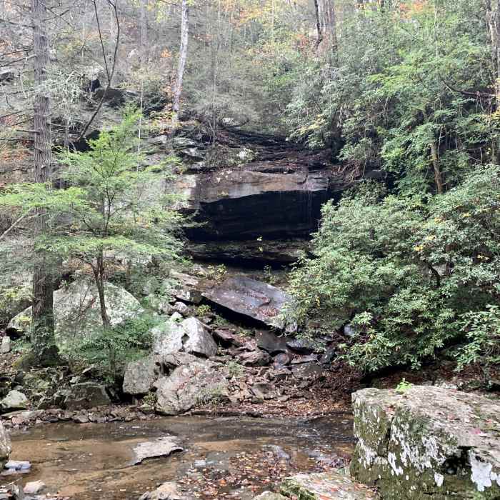 Falls Near Bear Creek Backcountry Trail