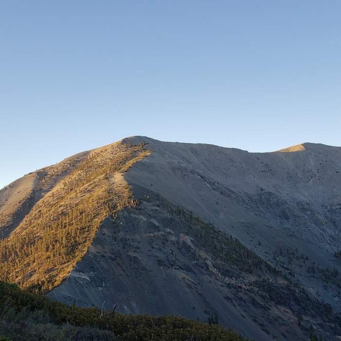 Near Dawson Peak Trail #8W32