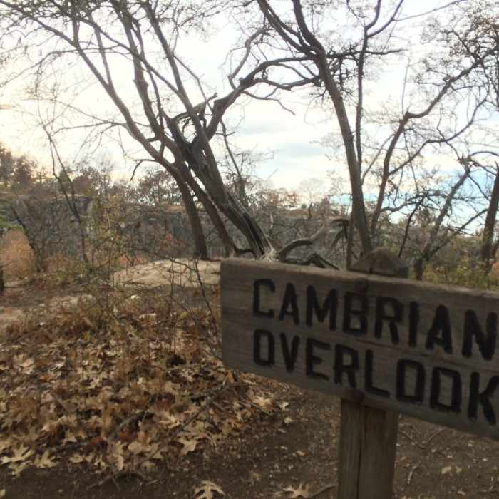 Overlook into the quarry. Near Possum Loop Trail