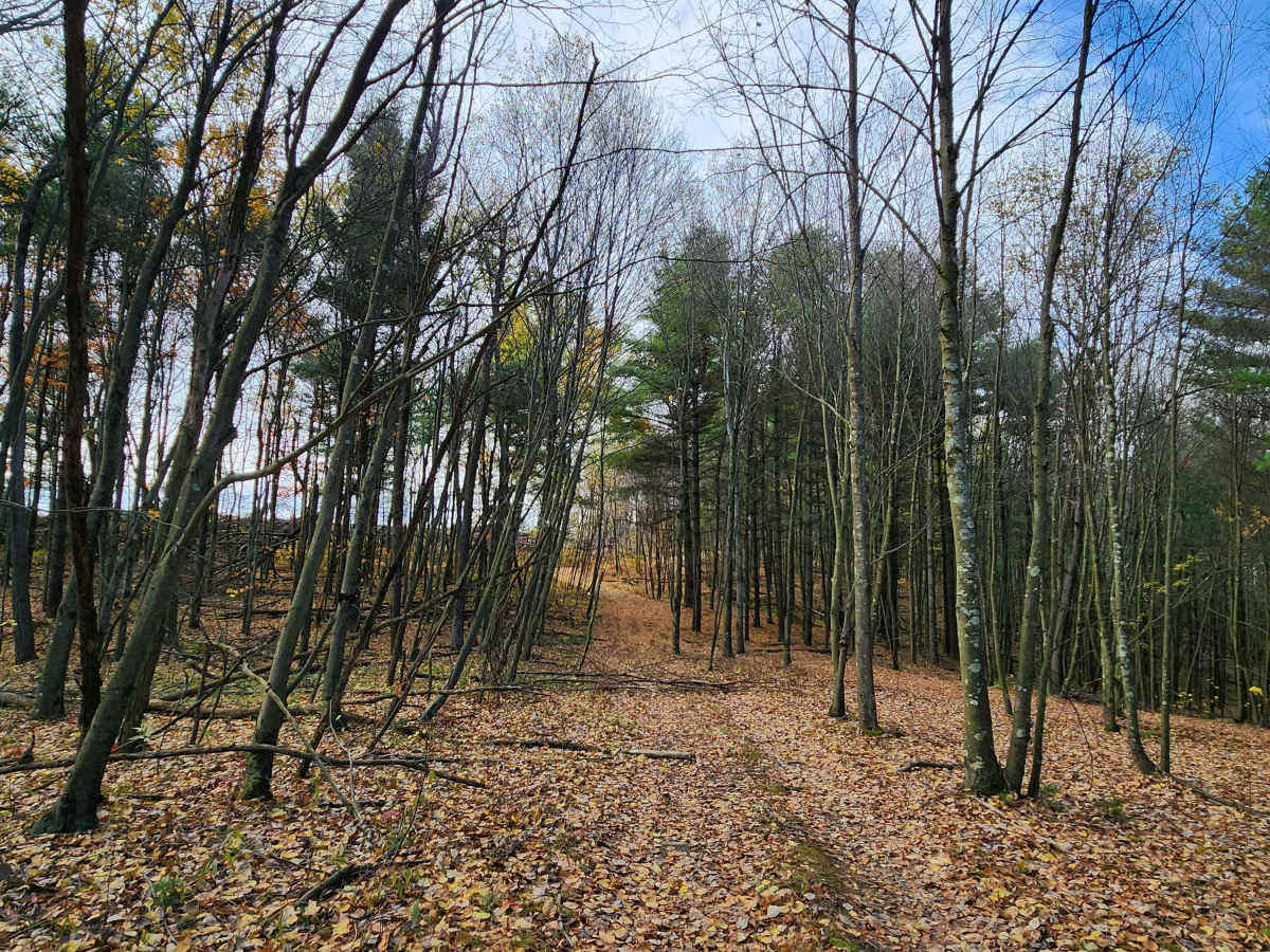OHV 4 - Rock Run Recreation Area photo 2