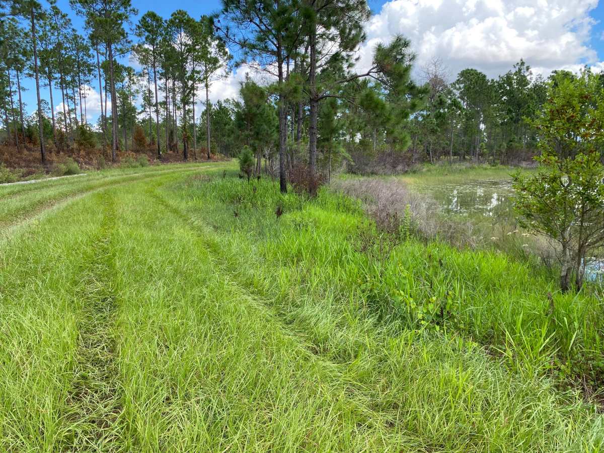 Turtle Pond Road photo 5