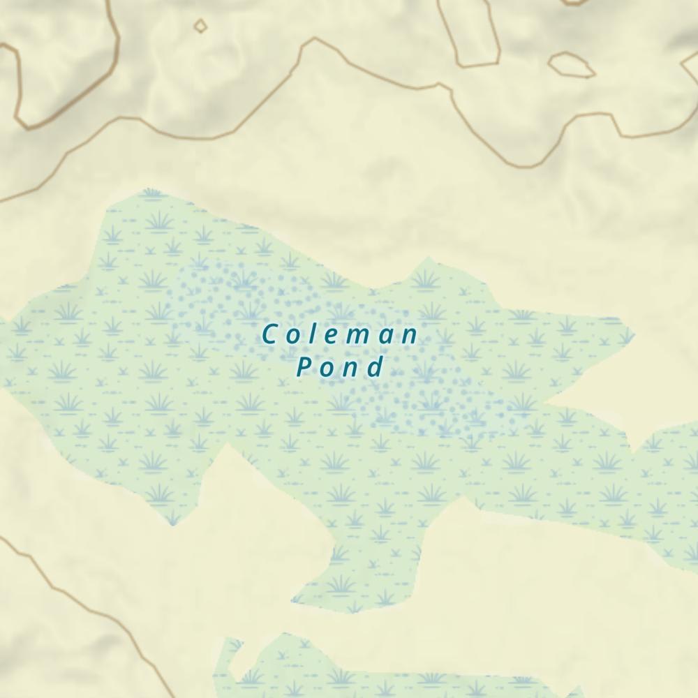 Coleman Pond photo