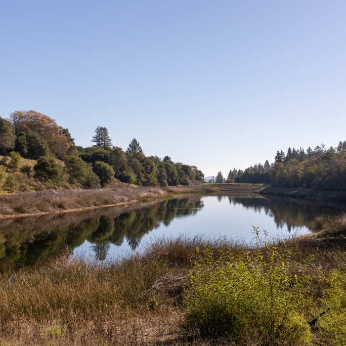 Near Fern Lake Trail