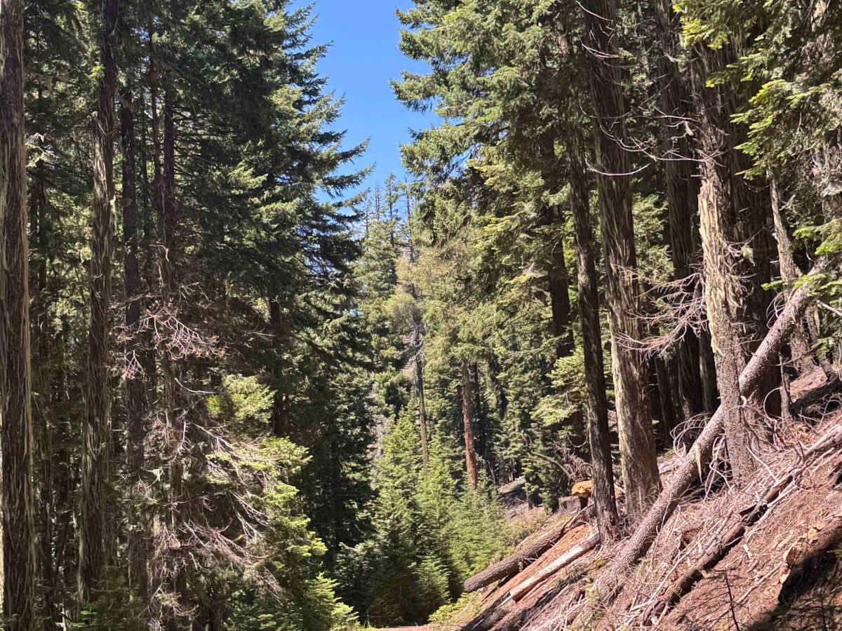 Rabbit Ears - OHV 25 Loop photo 4