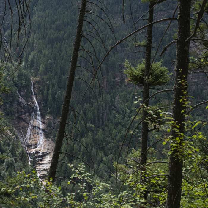 Cascade from trail. Near Mission Falls Trail