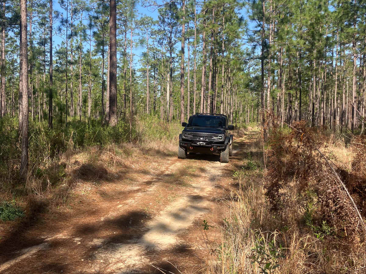 Blue Trail W23 photo 4