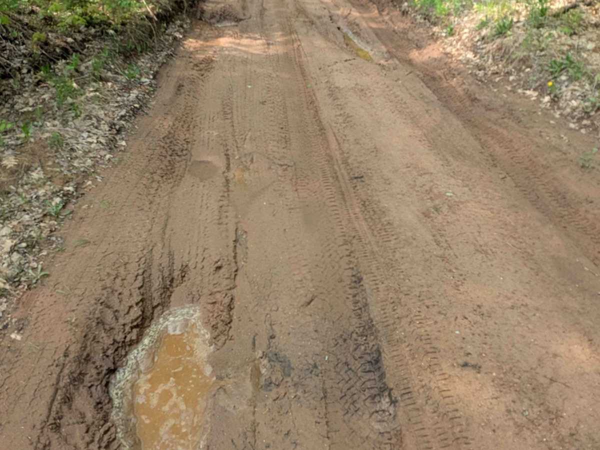 Alder Truck Trail photo 2