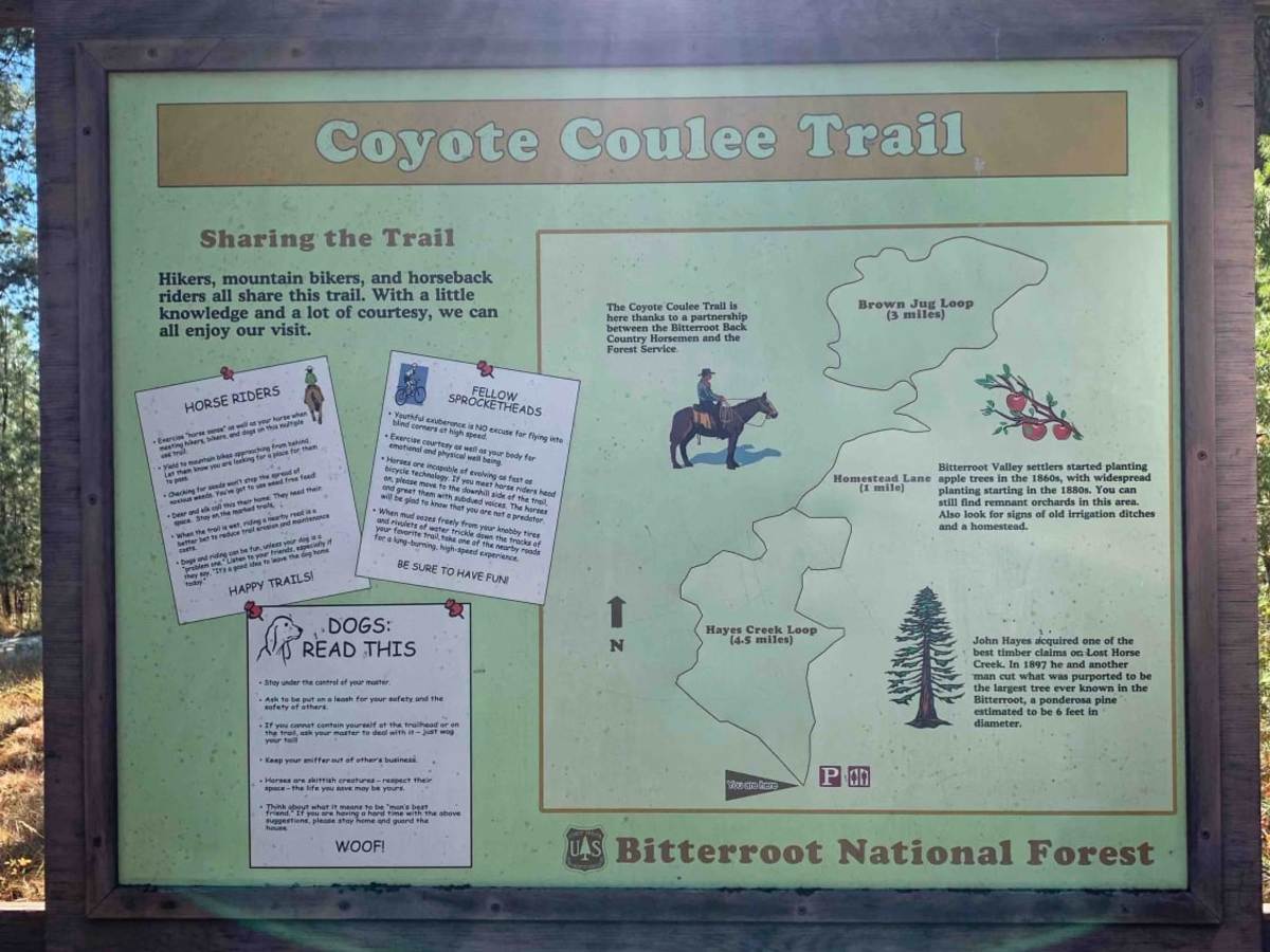 Lost Horse Ridgeline Lower photo 6