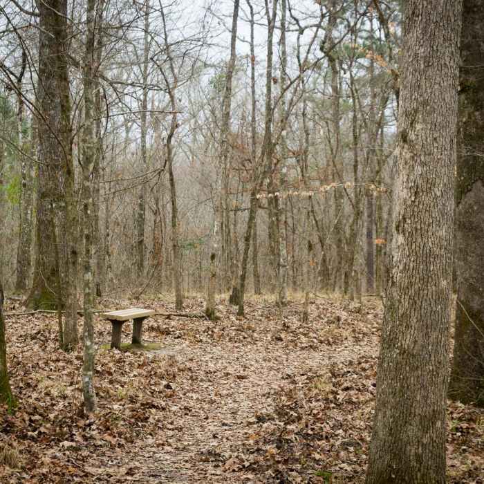 Near Chicot State Park Hiking Trail