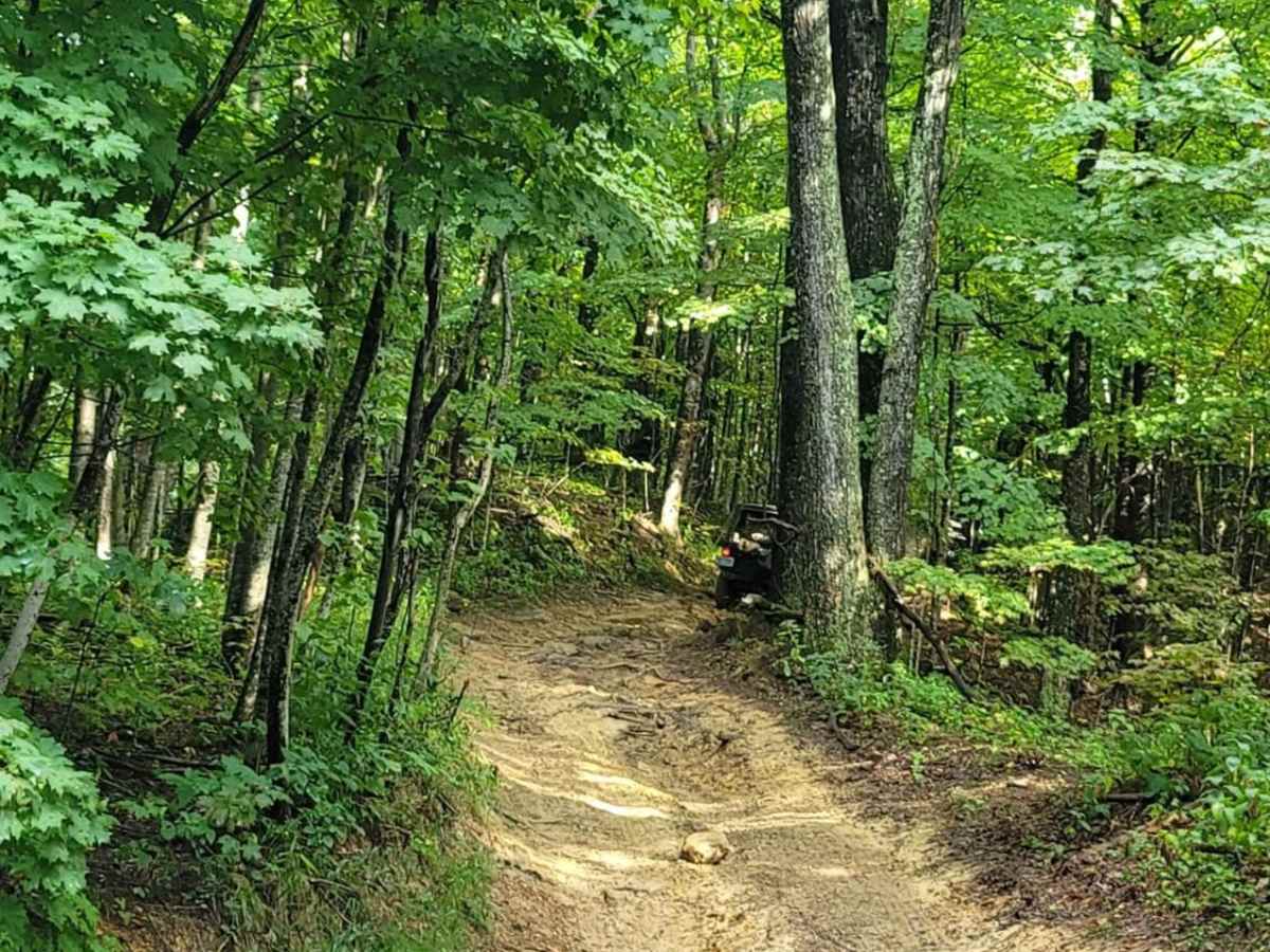 Trail 19 - Wolf Ridge photo 6