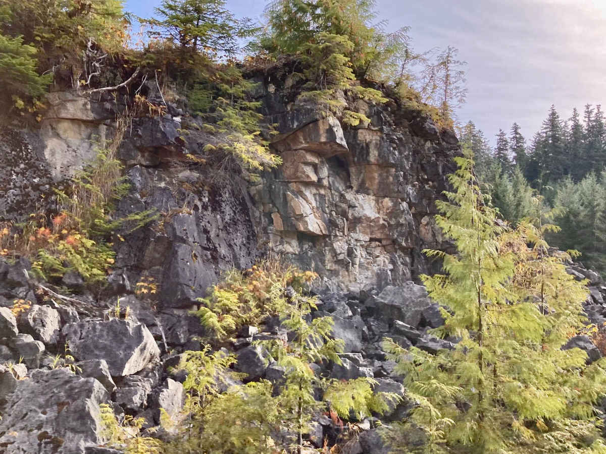 Gutchi Creek Road - FS 2058000 photo 6