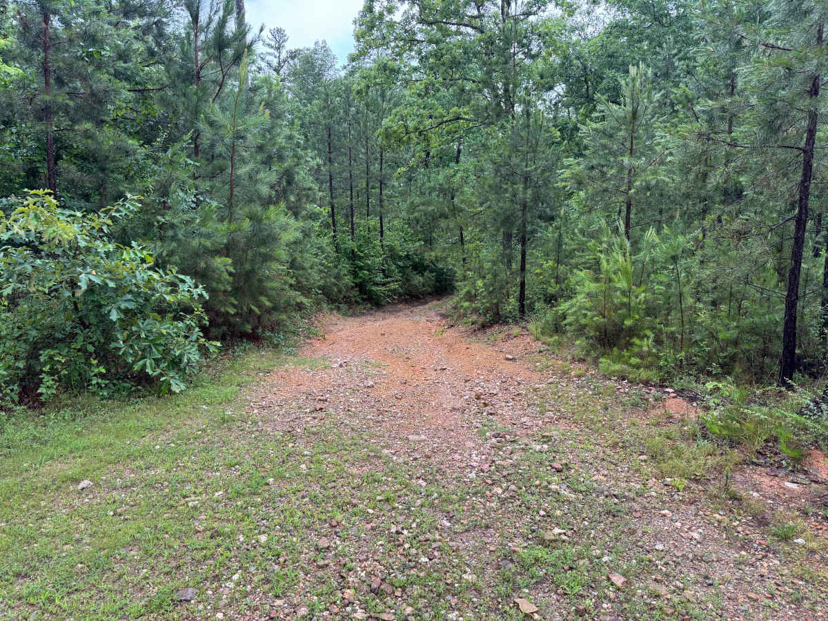 W80 trail photo