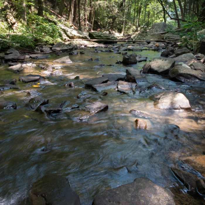 Near Cloudland Canyon: Waterfalls to Sitton's Gulch Trail