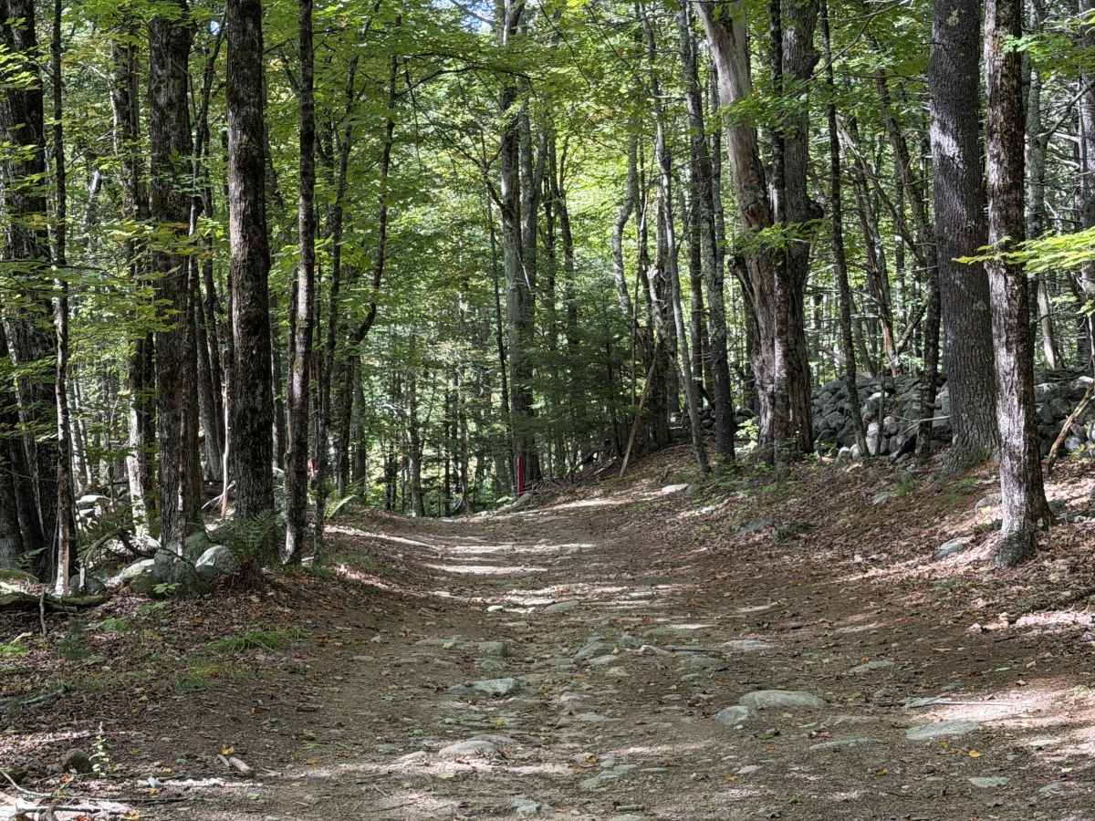 Bartlett Hill Road photo 2