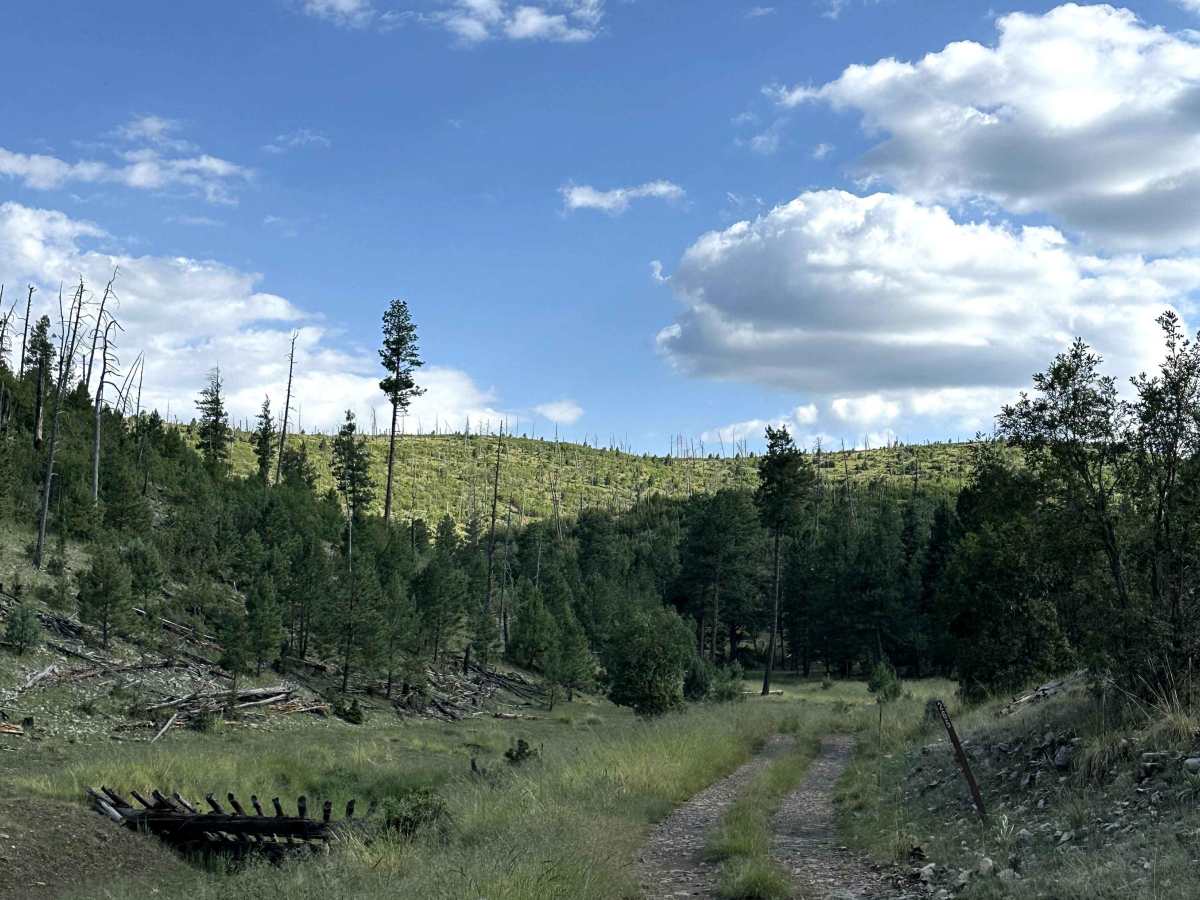 Pendleton Can trail photo