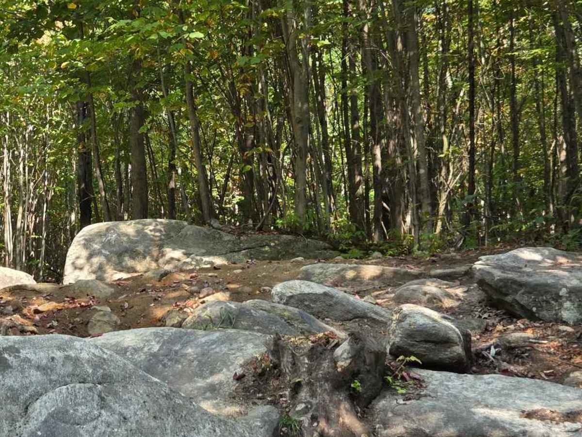 Jericho Black Trail photo 3