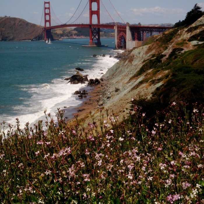 Near California Coastal Trail: Presidio