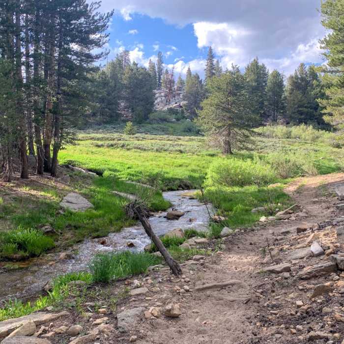 Near Trail Pass Trail