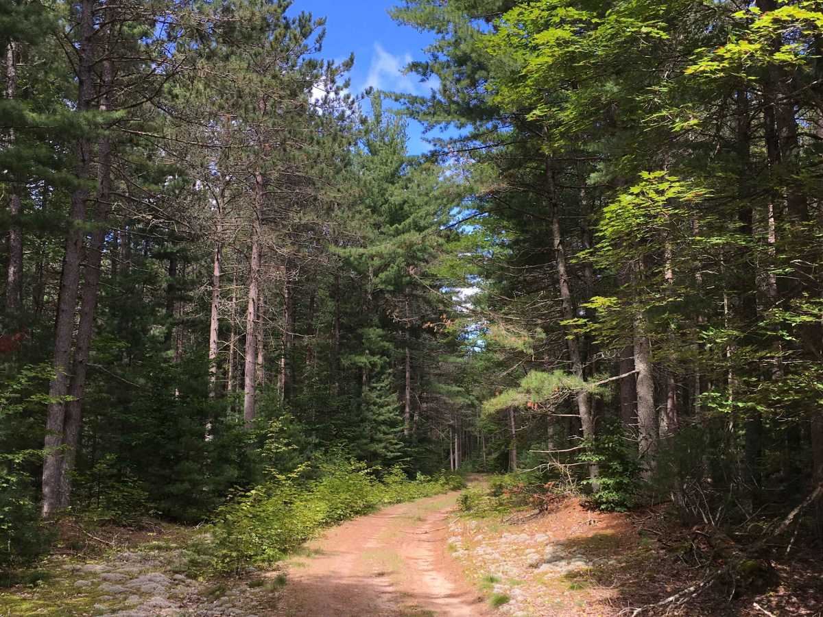 Wolski Road  photo 3
