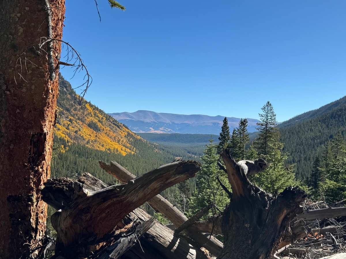 South Halfmoon Gulch/Iron Mike Mine photo 5
