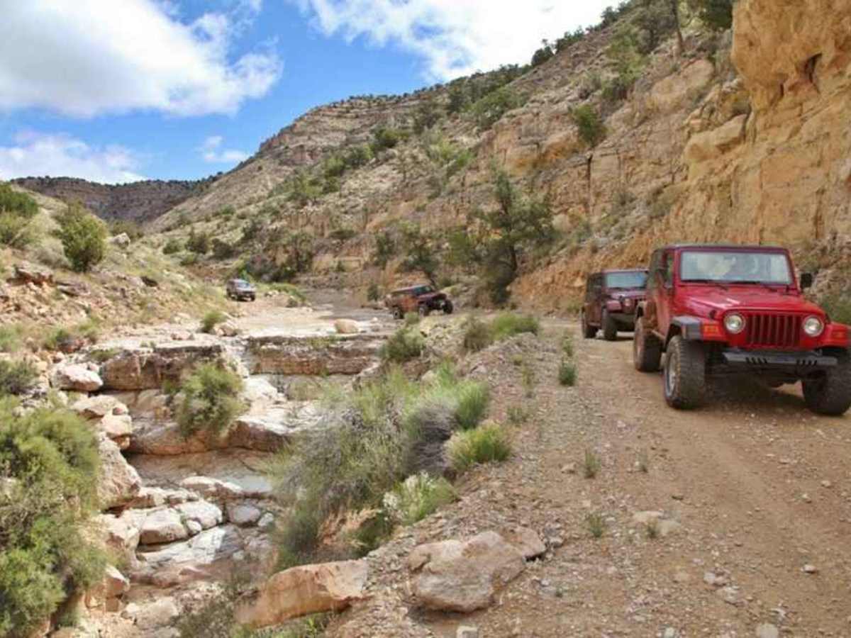 Parashant Canyon-Mollies Nipple - BLM 1230 photo 4