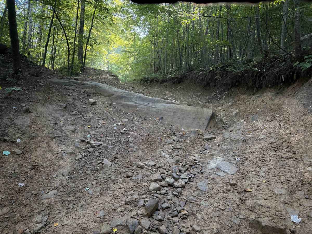 Thompson Hollow 35  trail photo