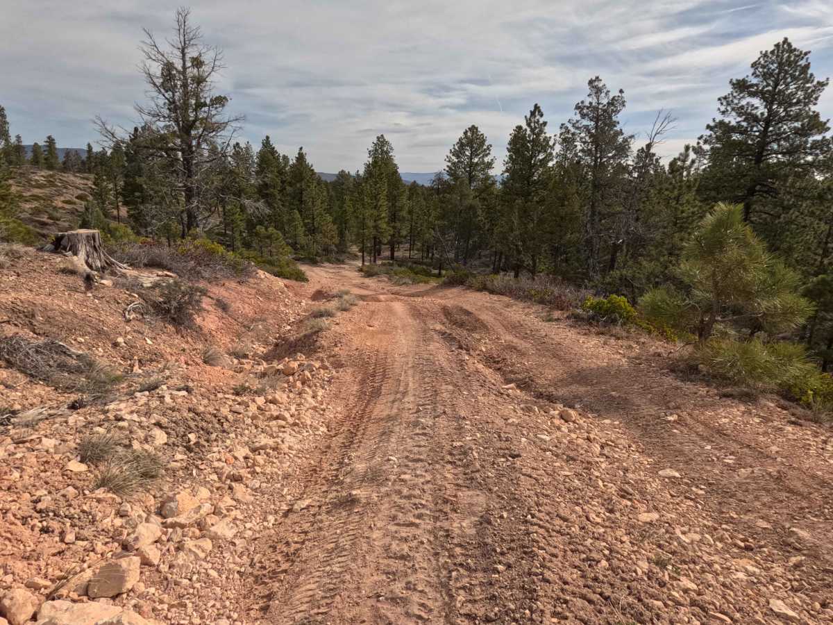 Dave's Hollow Spur 5 - FS 32367 photo 6