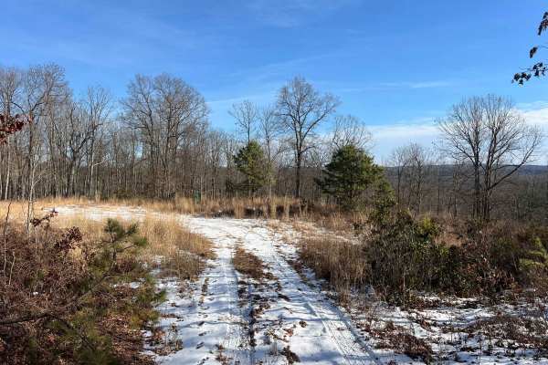 Coffer's Camp Trail