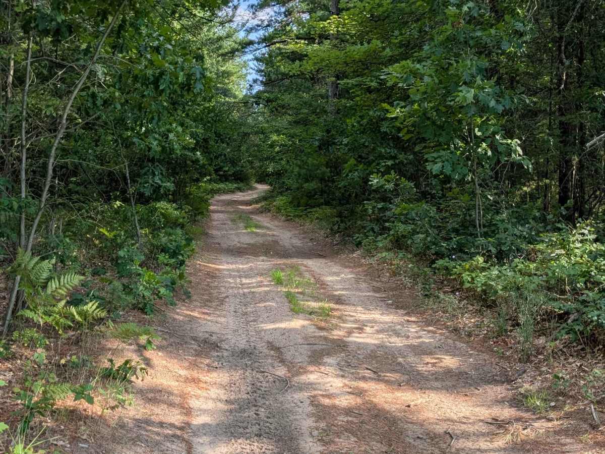 Walker Spur Trail photo 3