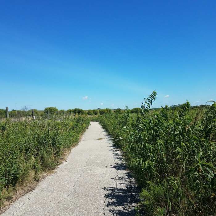 Near Tallgrass Trail