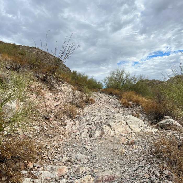 Near Shadow Mountain Circumference Trail