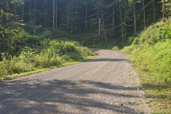 Pine Mountain Road