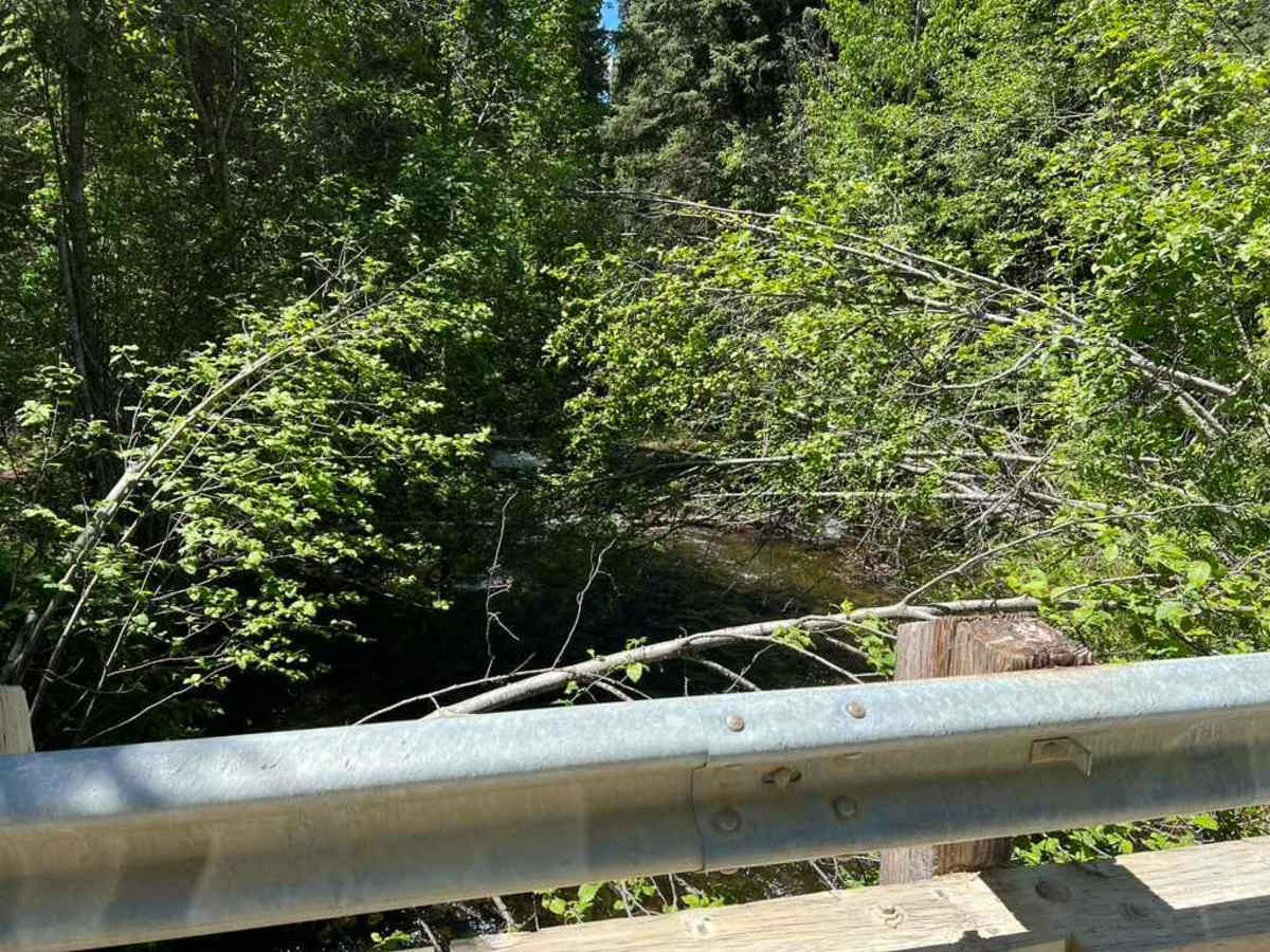 Kennedy Ridge 5507 photo 2