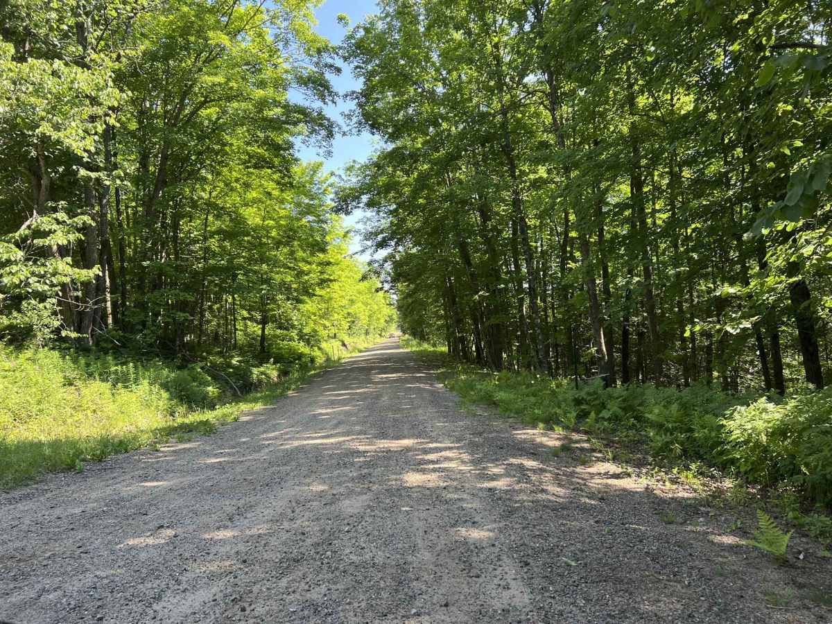 Tower Road trail photo
