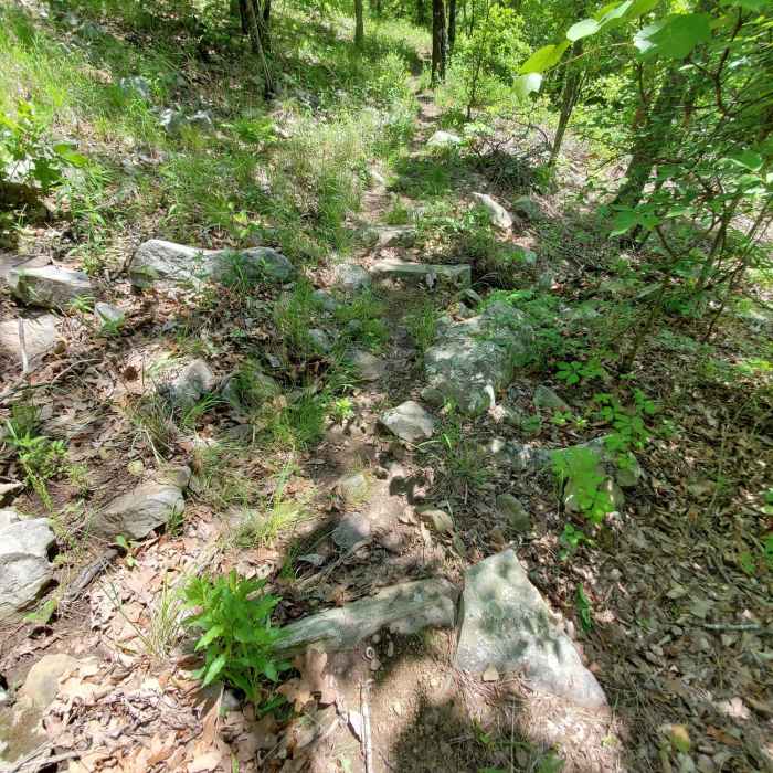 Rocks everywhere! Near Ouachita - Old Military Trail Loop