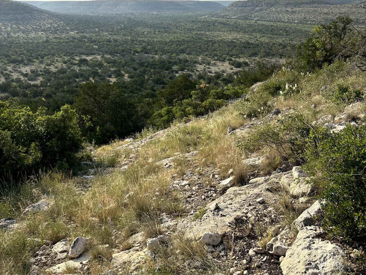 Drifter - V16 photo 4