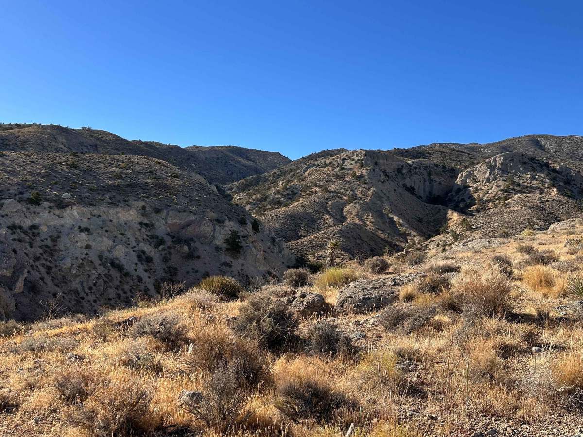 Silver Run Trail photo 4