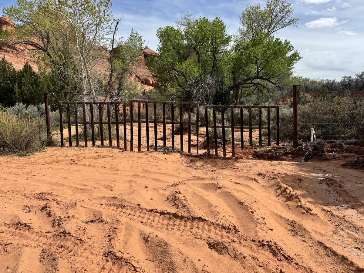 Lost Spring photo 6