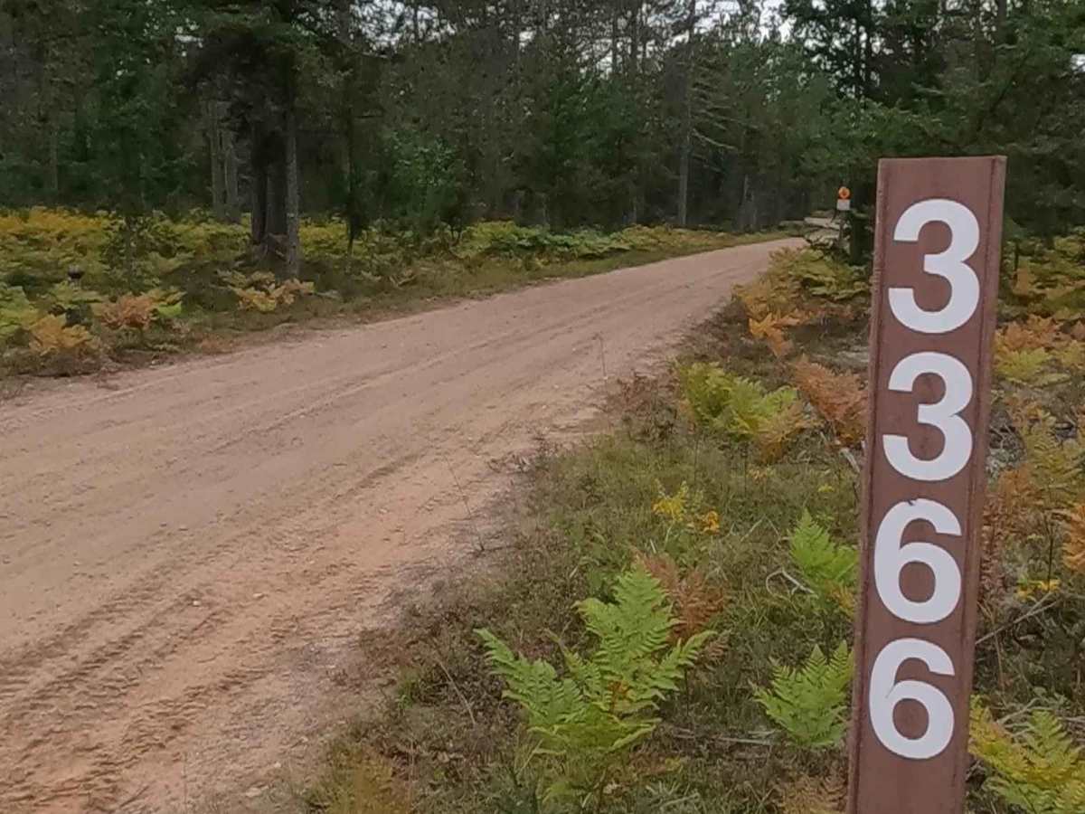 Avery - FS 3366 trail photo