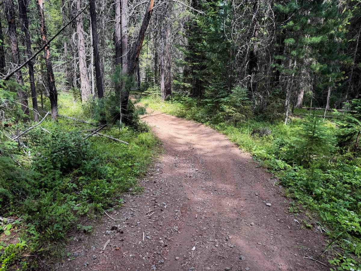 Sherry Spur Ditch Trail   photo 5