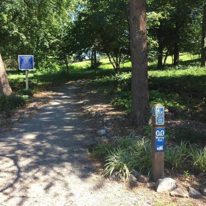 Near Murray Run Greenway