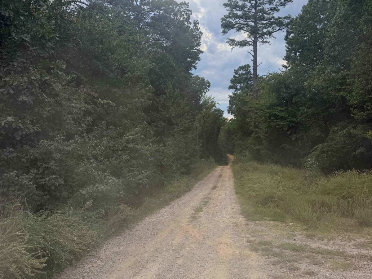 Blue Jay Hollow photo 3