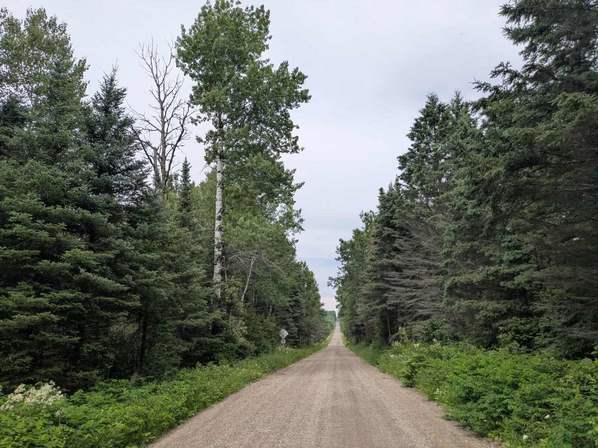 Little Creek Road trail photo