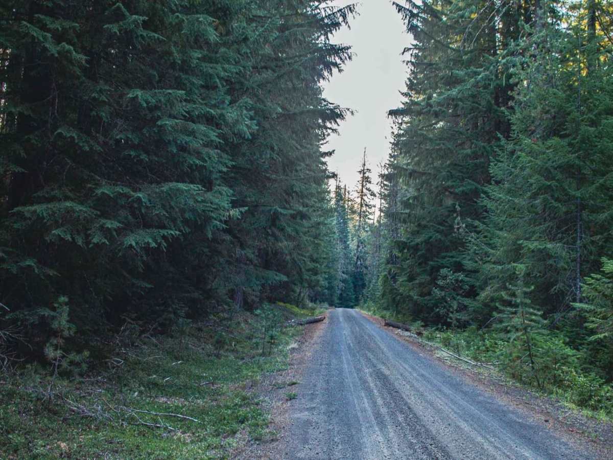 Trap Creek Loop trail photo