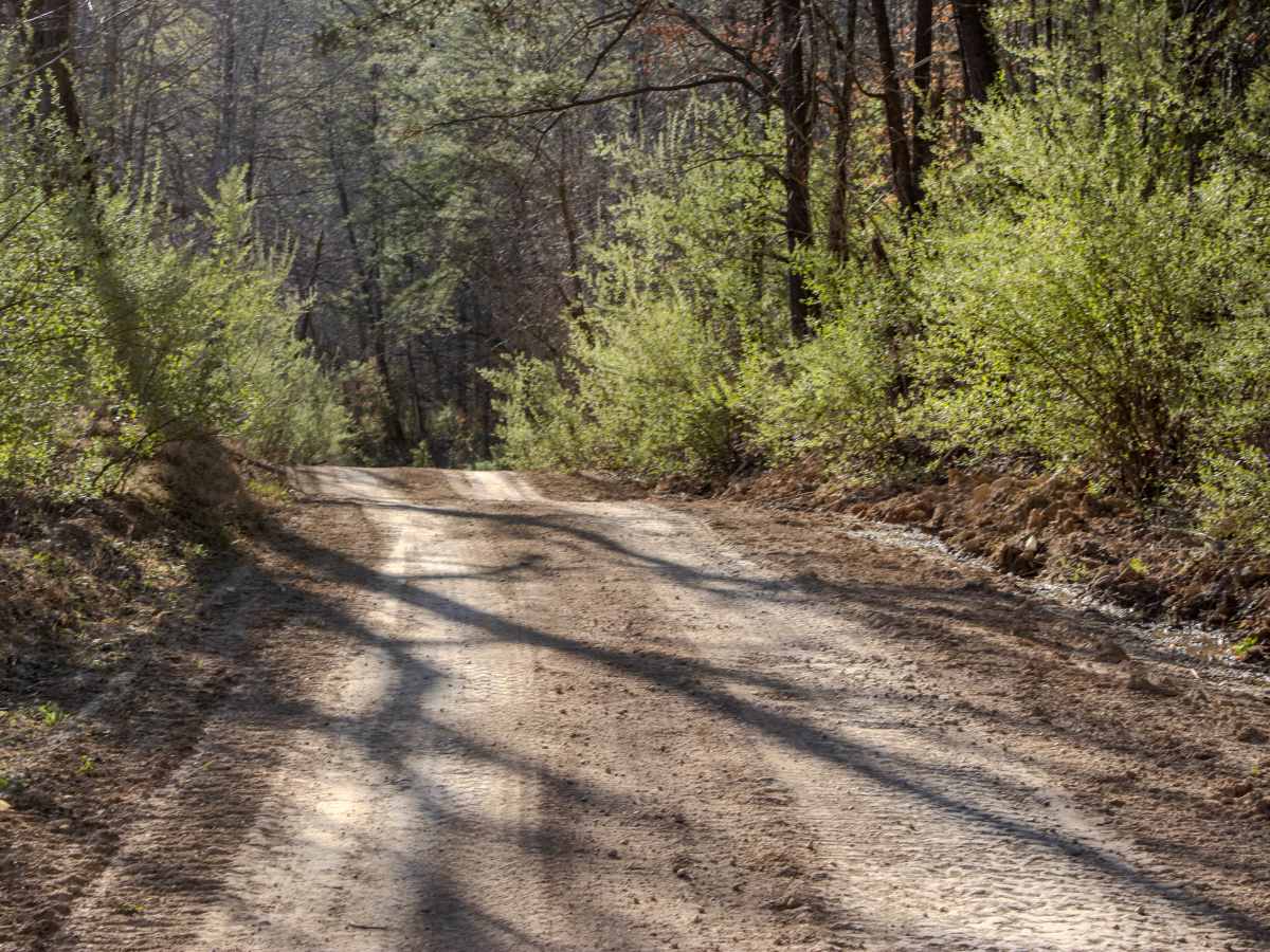 Montgomery Road photo 4