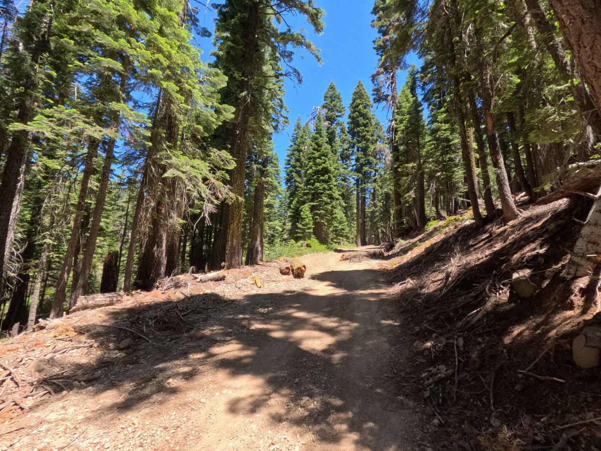 Saddleback - FS 25-023 trail photo
