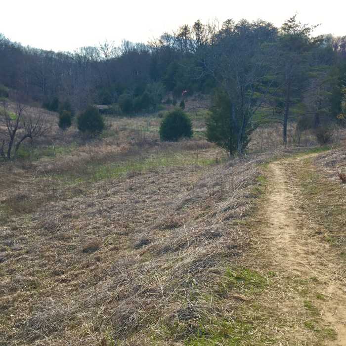 Near Buzzardroost Prairie Section
