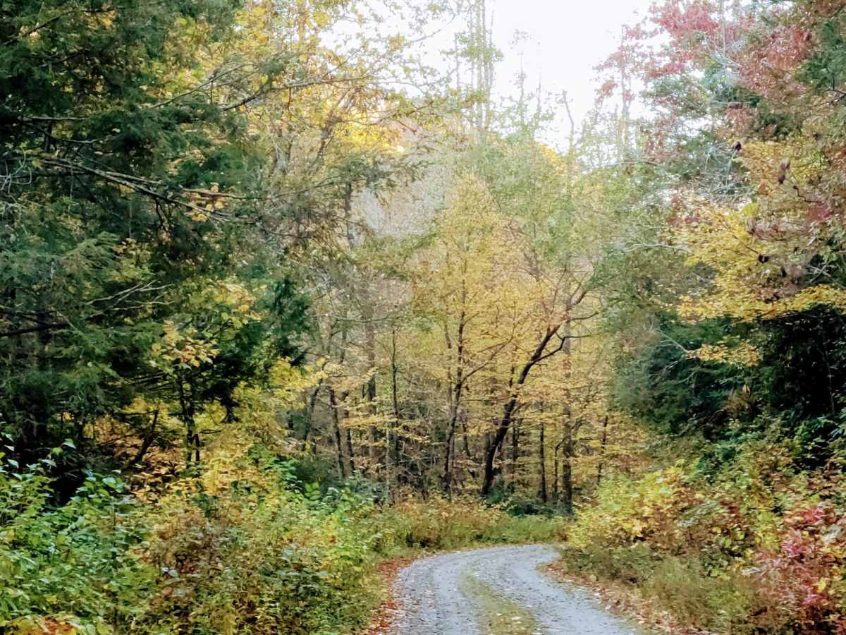 Toe River Trail photo 2