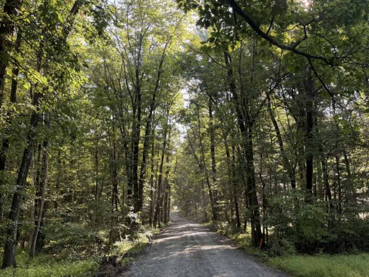 Hoffman Road trail photo