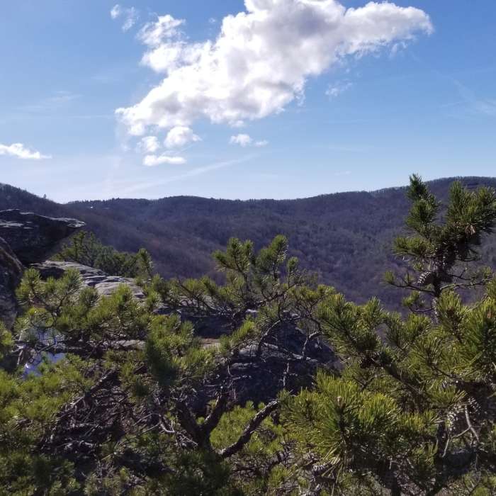 View from Big Lost Cove Cliffs Near Big Lost Cove Cliffs Trail
